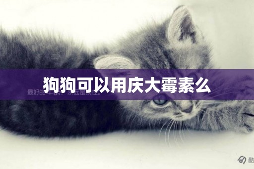 狗狗可以用慶大霉素么