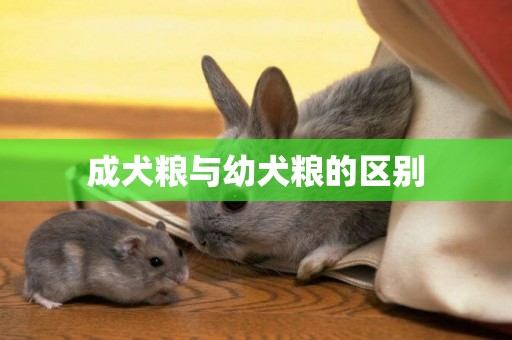 成犬糧與幼犬糧的區別