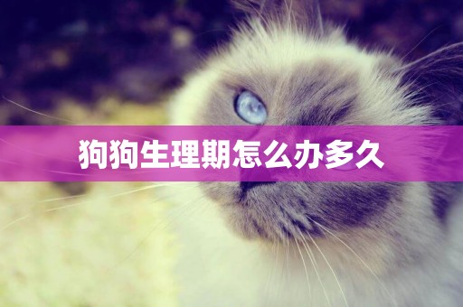 狗狗生理期怎么辦多久