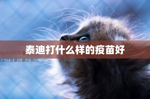 泰迪打什么樣的疫苗好