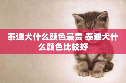 泰迪犬什么顏色最貴 泰迪犬什么顏色比較好
