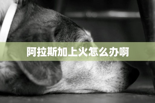 阿拉斯加上火怎么辦啊
