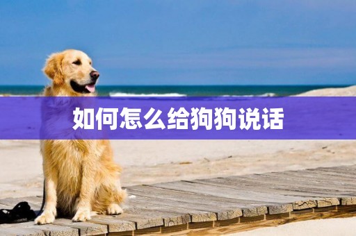 如何怎么給狗狗說話