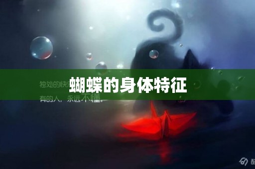 蝴蝶的身體特征