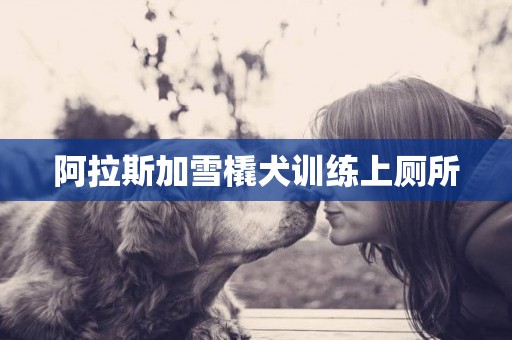 阿拉斯加雪橇犬訓練上廁所