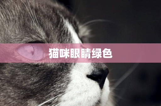 貓咪眼睛綠色