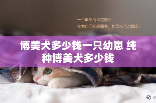 博美犬多少錢一只幼崽 純種博美犬多少錢