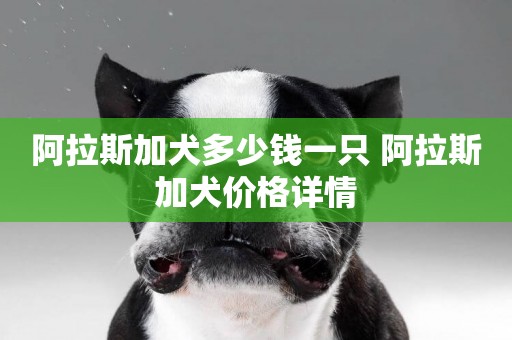 阿拉斯加犬多少錢一只 阿拉斯加犬價格詳情
