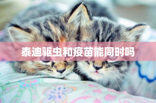 泰迪驅蟲和疫苗能同時嗎