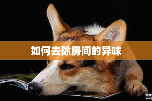 如何去除房間的異味