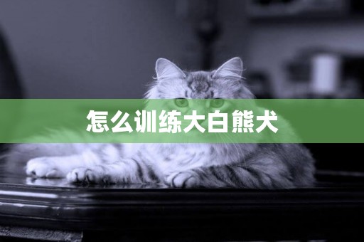 怎么訓練大白熊犬