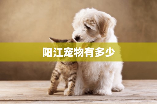 陽江寵物有多少