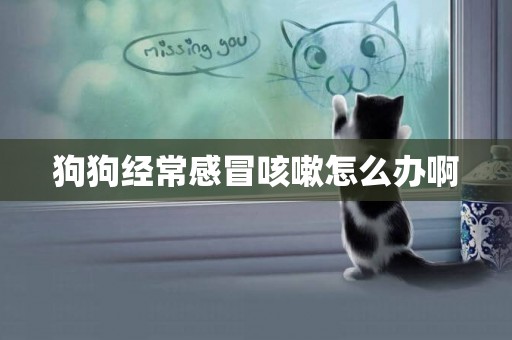 狗狗經常感冒咳嗽怎么辦啊