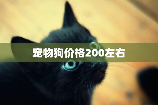 寵物狗價格200左右