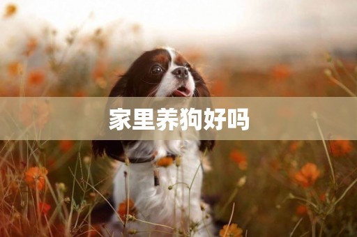 家里養狗好嗎