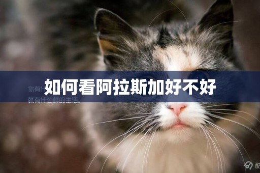 如何看阿拉斯加好不好