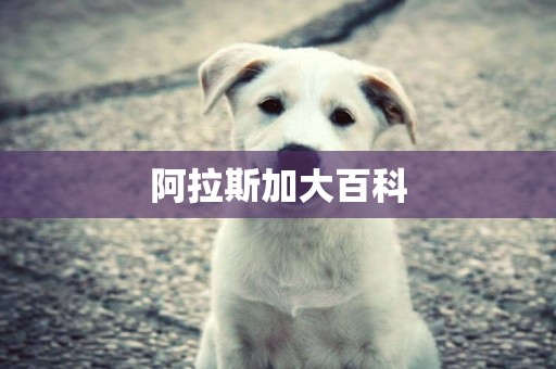 阿拉斯加大百科