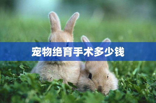 寵物絕育手術多少錢