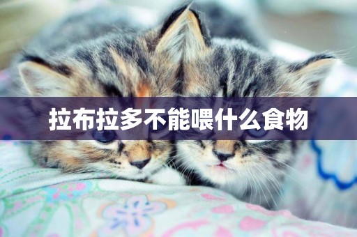 拉布拉多不能喂什么食物