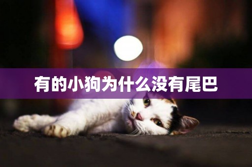 有的小狗為什么沒有尾巴