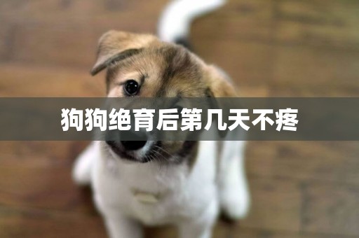 狗狗絕育后第幾天不疼