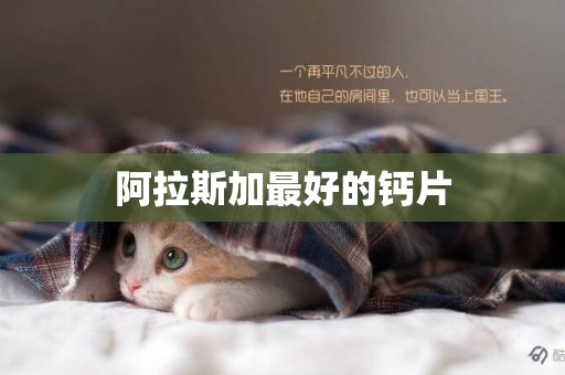 阿拉斯加最好的鈣片