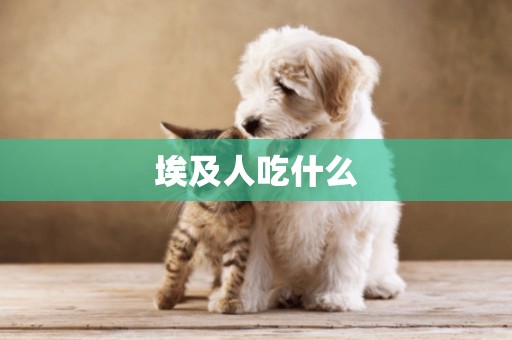 埃及人吃什么