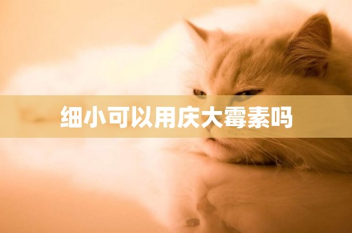細小可以用慶大霉素嗎