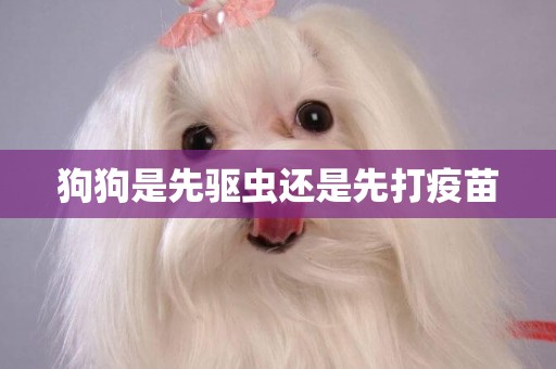 狗狗是先驅蟲還是先打疫苗