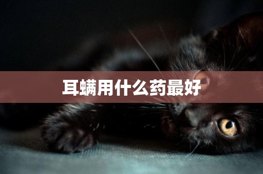 耳螨用什么藥最好