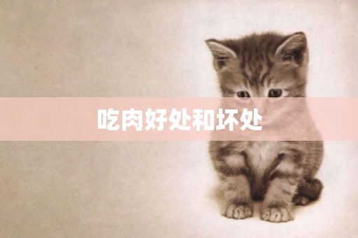 吃肉好處和壞處
