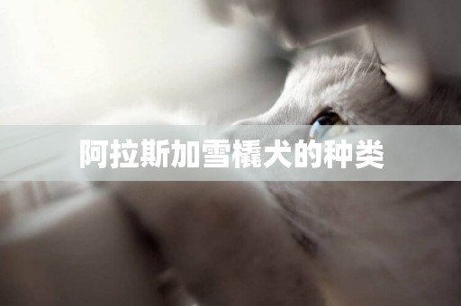 阿拉斯加雪橇犬的種類