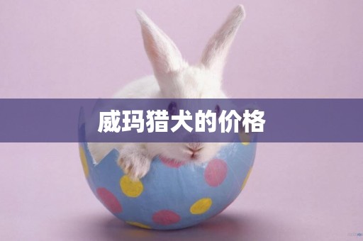 威瑪獵犬的價格