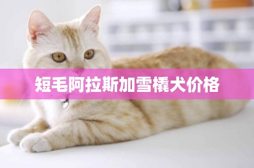 短毛阿拉斯加雪橇犬價格
