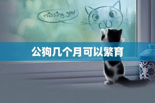 公狗幾個月可以繁育