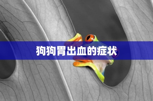 狗狗胃出血的癥狀