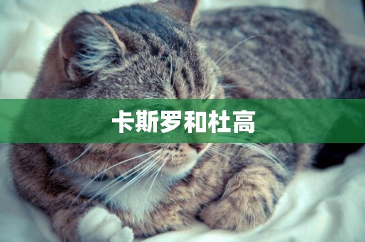 卡斯羅和杜高