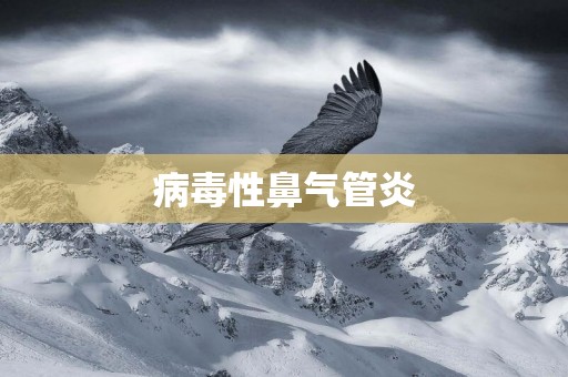 病毒性鼻氣管炎