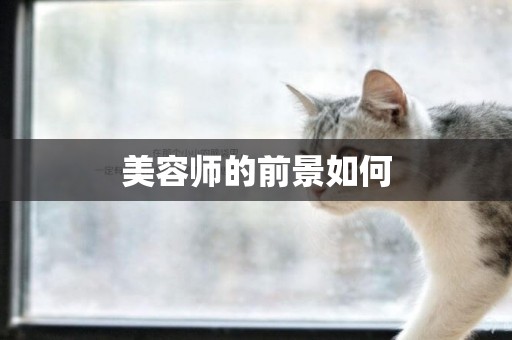 美容師的前景如何