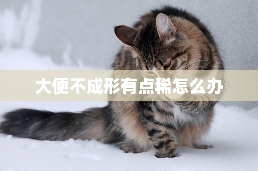 大便不成形有點稀怎么辦