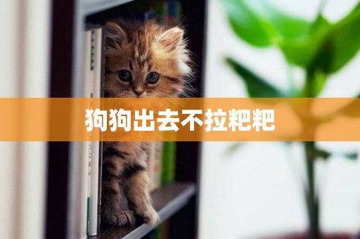 狗狗出去不拉粑粑