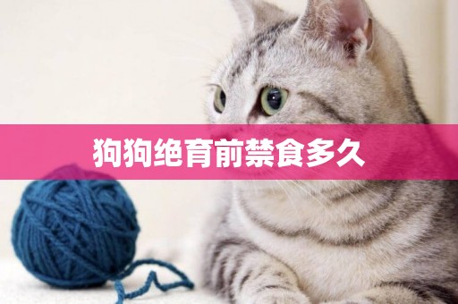 狗狗絕育前禁食多久