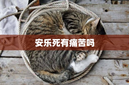 安樂死有痛苦嗎