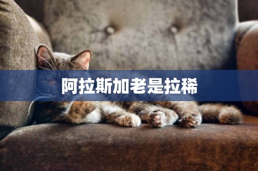 阿拉斯加老是拉稀