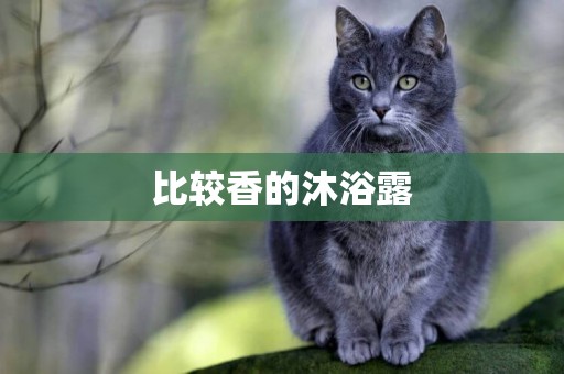 比較香的沐浴露