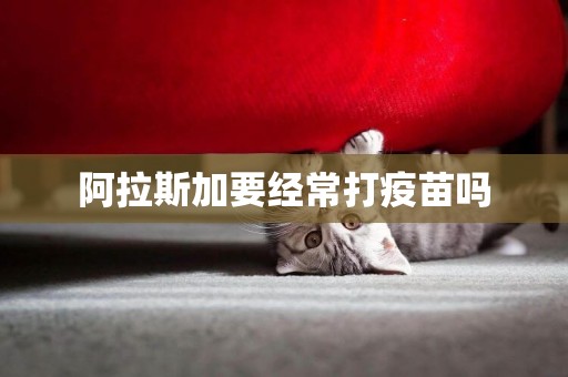 阿拉斯加要經常打疫苗嗎