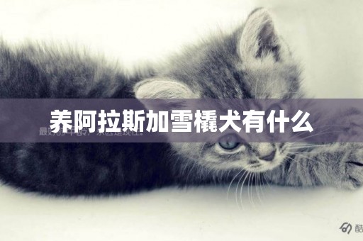 養阿拉斯加雪橇犬有什么