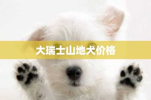 大瑞士山地犬價格