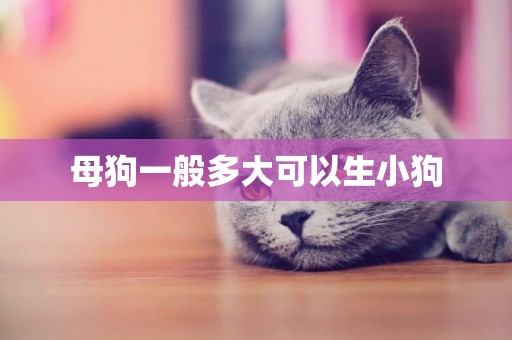母狗一般多大可以生小狗