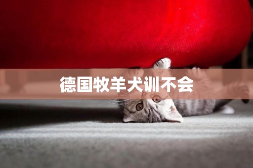 德國牧羊犬訓不會